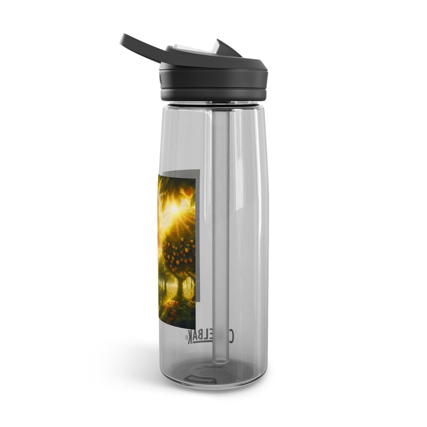 When Life Hands You Lemon 25oz Transparent Water Bottle, Back to school Gift